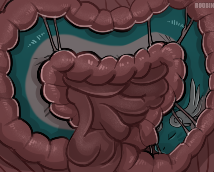 Gwini sliding through a bunch of intestines.