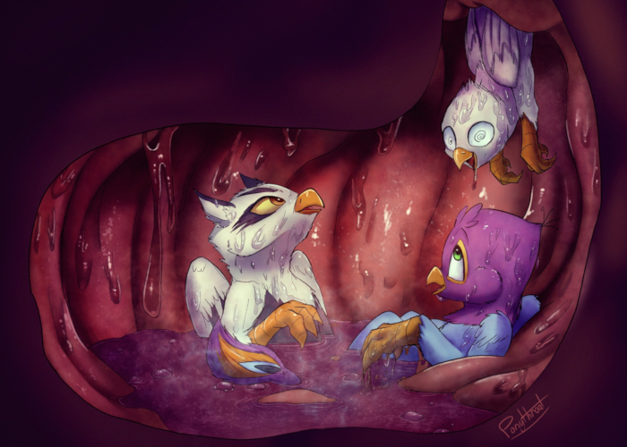 Gyro and 2 other gryphons sliding into a belly.