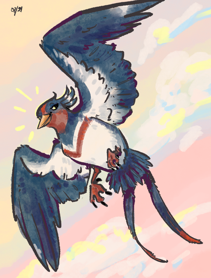 Mistral waving a wing at the viewer in flight.