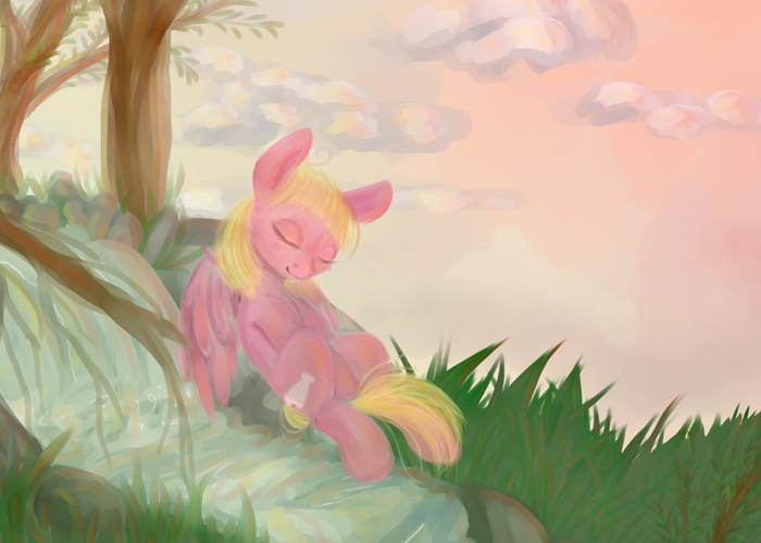 Sweet Treat Napping During a Sunset